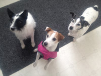 Fifth facility photo