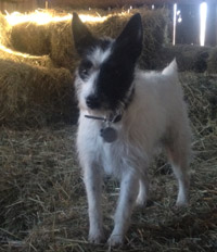 Eleventh facility photo