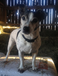 Tenth facility photo