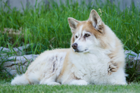 Second facility photo