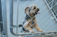 Fourth facility photo