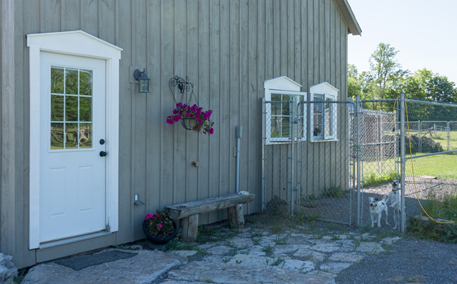 Outside of the kennel building